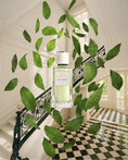Load image into Gallery viewer, 03 - Thé au Palais Royal by Solférino Paris, eau de parfum
