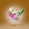 Load image into Gallery viewer, Alexandria III by Xerjoff, extrait de parfum