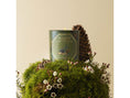 Charger l'image dans la visionneuse de la galerie, Bougie Pin de Sibérie et Bois Fumé CARRIÈRE FRÈRES - Parfumerie du Soleil d'Or