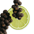 Load image into Gallery viewer, CASTLEY by Parfums de Marly, eau de parfum