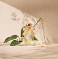 Charger l'image dans la visionneuse de la galerie, Le Temps des Rêves d'Annick Goutal, eau de parfum