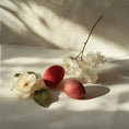 Load image into Gallery viewer, PARFUM CHEVEUX ORENCIE CHAMBRE52 - Soleil d'Or