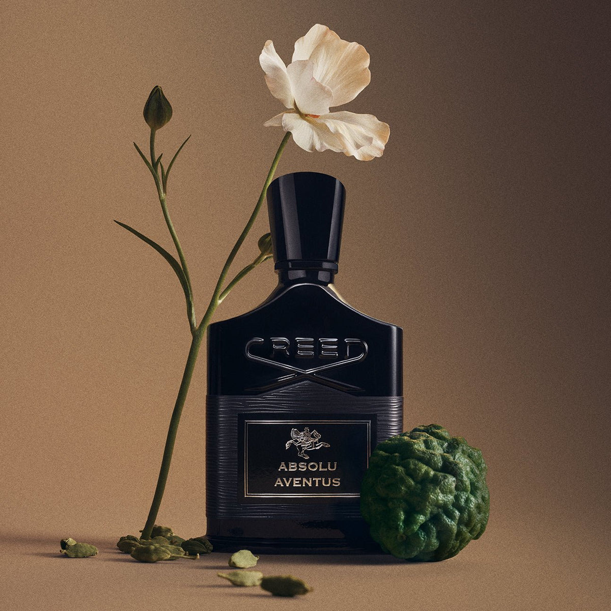 Absolu Aventus de Creed, flacon et matières premières