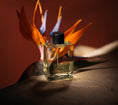 Load image into Gallery viewer, Alba by Profumum Roma, extrait de parfum
