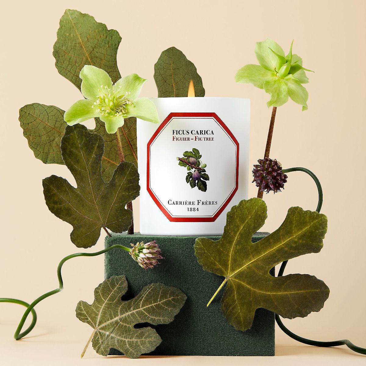 Bougie Figuier CARRIÈRE FRÈRES - Parfumerie du Soleil d'Or