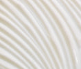 Charger l'image dans la visionneuse de la galerie, ÉMULSION RENOUVELLEMENT CELLULAIRE NUIT NESCENS - Soleil d'Or
