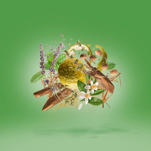 Fiero de Casamorati, eau de parfum