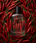 Charger l'image dans la visionneuse de la galerie, Heat d'Akro, eau de parfum
