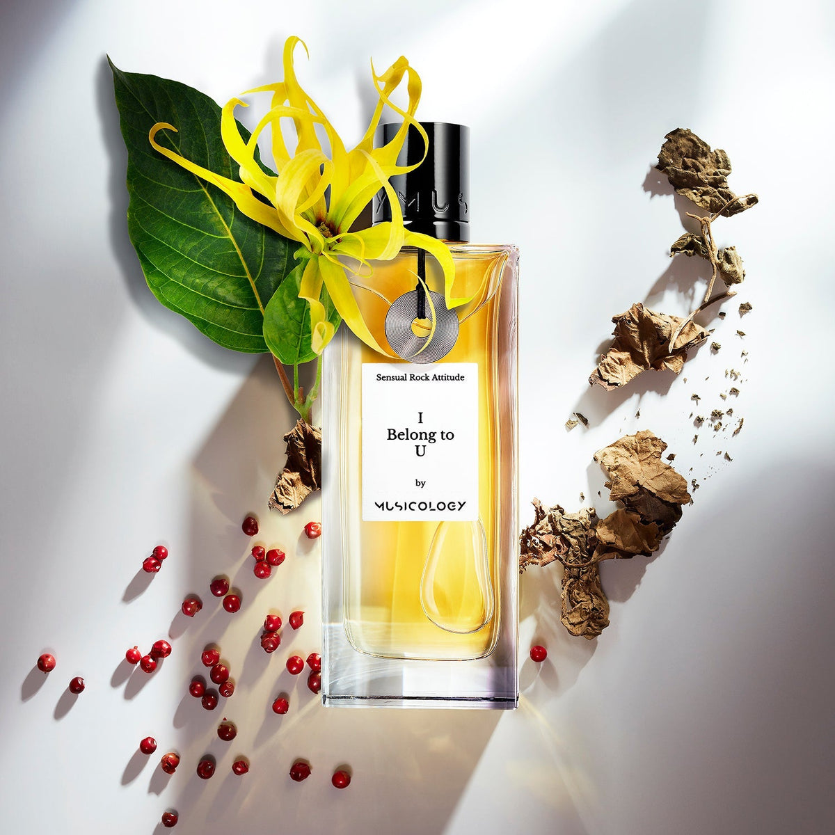 I Belong To U de Musicology, eau de parfum