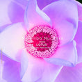 Load image into Gallery viewer, Le Brun Hanahasu LE ROUGE FRANÇAIS - Parfumerie du Soleil d'Or
