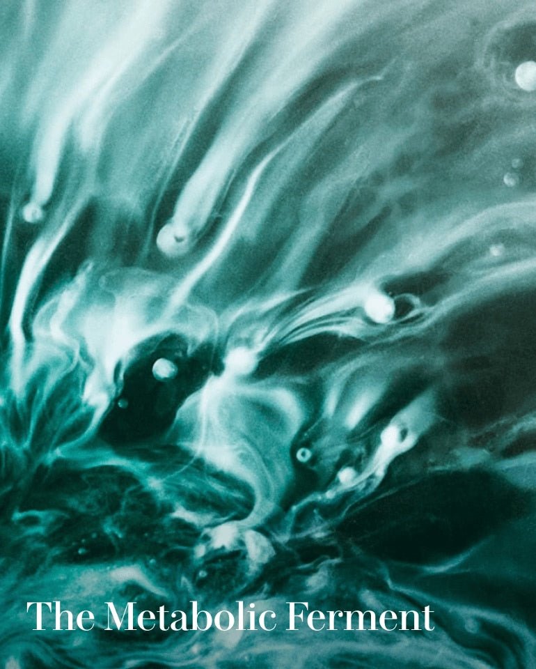 LE SÉRUM RÉGÉNÉRATION LA MER - Soleil d'Or