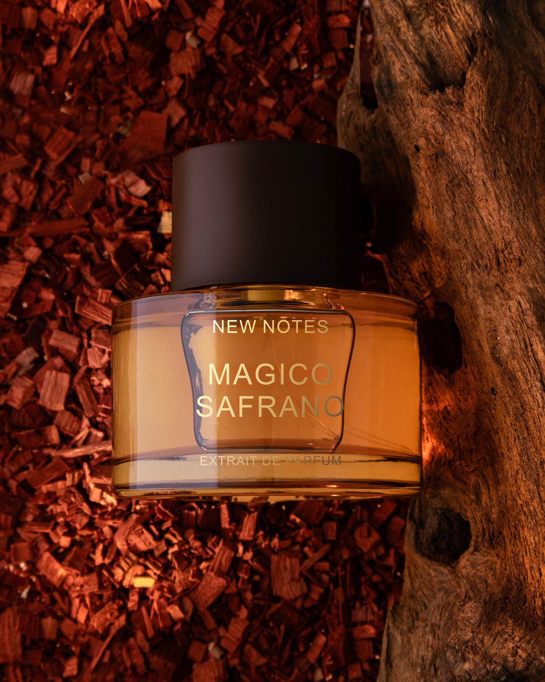 Magico Safrano de New Notes, ambiance aux épices