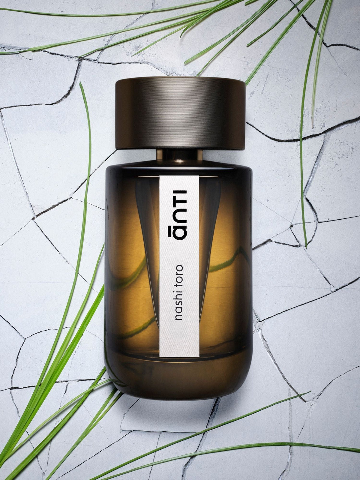 nashi toro d'ānti, eau de parfum