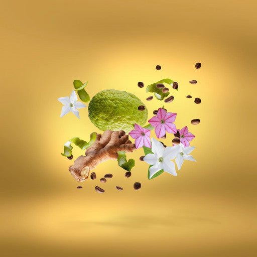 Uden Overdose de Xerjoff, extrait de parfum