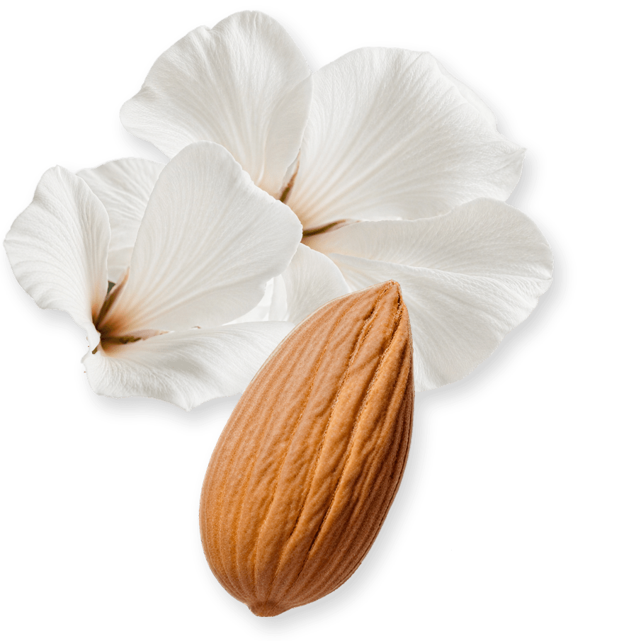 Valaya Exclusif de Parfums de Marly, amande et fleurs blanches